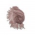 Georgette stole with feathers attached to it Georgette stole with feathers attached to it